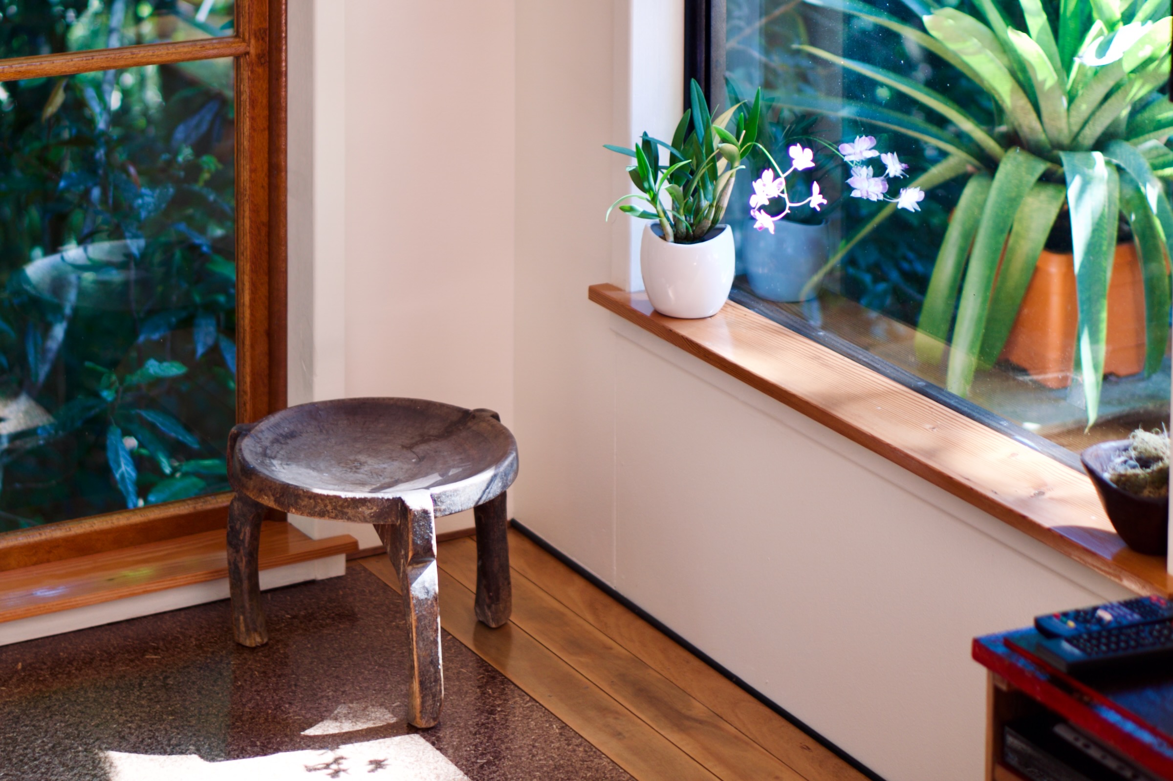 Photo of an interior of a room. A small, rustic wooden stool sits in the corner. Sunlight streams through timber windows, providing views to a leafy garden outside. A small green potted flowering plant sits on a widow ledge.